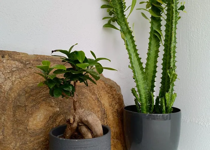 Villa The Lithos By A Terre Cave