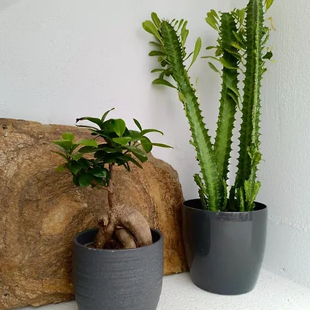 וילה The Lithos By A Terre Cave