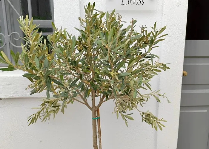 Вилла The Lithos By A Terre Cave Тира