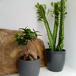 Вилла The Lithos By A Terre Cave